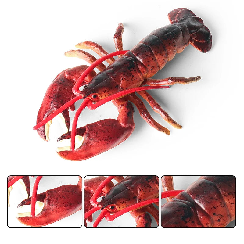 Oenux Ocean Animals Simulation Tiger Prawn Crayfish Shrimp Sea Life Model Figurines Action Figures Collection Toys For Kids Gift