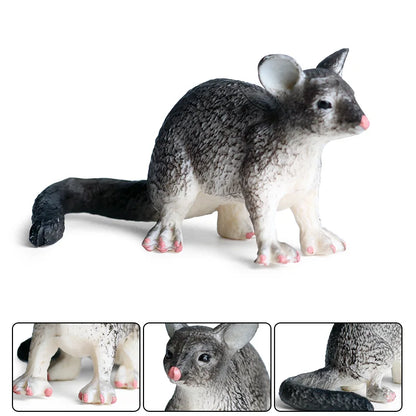 Oenux Wild Animals Simulation Rodent Marmot Mouse Model Squirrel Rat Chinchilla Action Figure Figurine Collection Cute Kid Toy