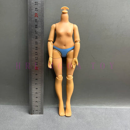 Original Slim Rainbow Middle School Doll Series 24cm Junior High School Sister and 28cm Big Sister Body DIY Toys