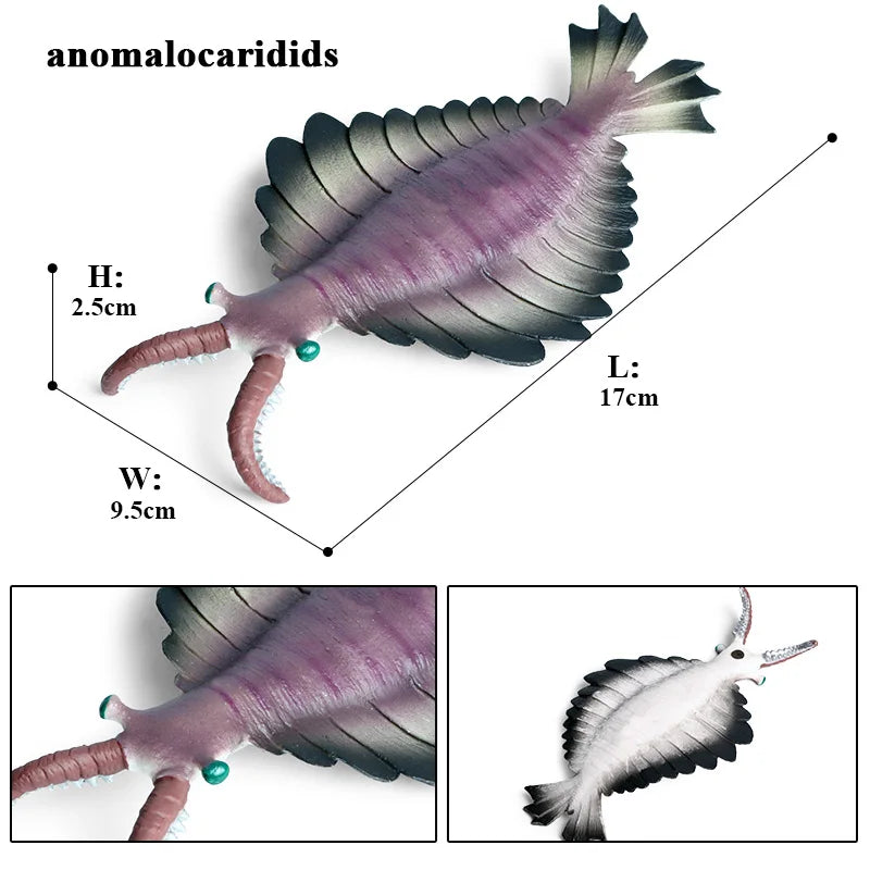 Oenux Ocean Animals Simulation Tiger Prawn Crayfish Shrimp Sea Life Model Figurines Action Figures Collection Toys For Kids Gift