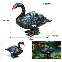 animals model 3
