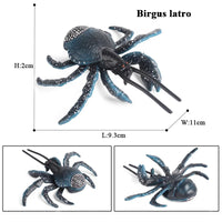 animal model 13