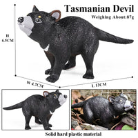 animals model 11