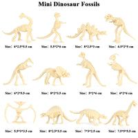 12pcs 19