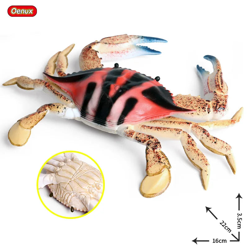 Oenux Ocean Animals Simulation Hermit Crab Nautiloidea Octopus Sea Life Model Figurines Action Figures Collection Kids Toy Gift