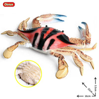 Crab model 6