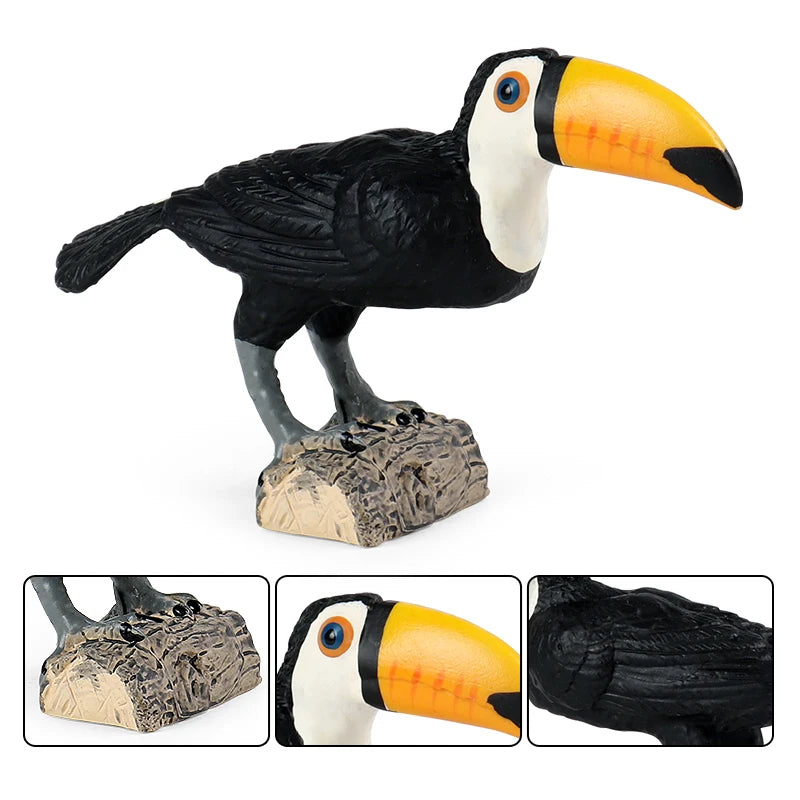 Oenux Garden Bird Figurines Snowy Owl Toucan Bucerotidae Animals Model PVC Action Figures Collection Toys For Kids Birthday Gift