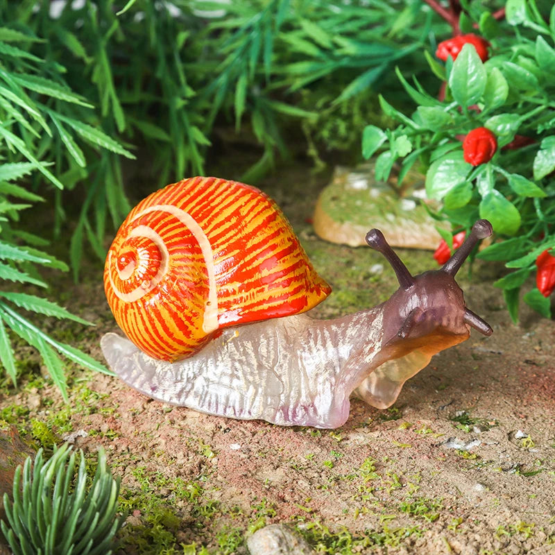 Oenux Wild Insect Animals Snails Growth Cycle Model Garden Decoration Figurines PVC Miniature Cute Education Kids Toys