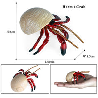 animal model 14