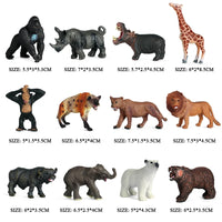 12pcs 27