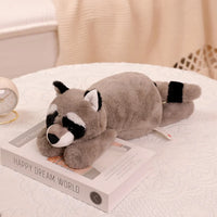 Raccoon