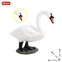 animals model 24