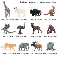 12pcs 10