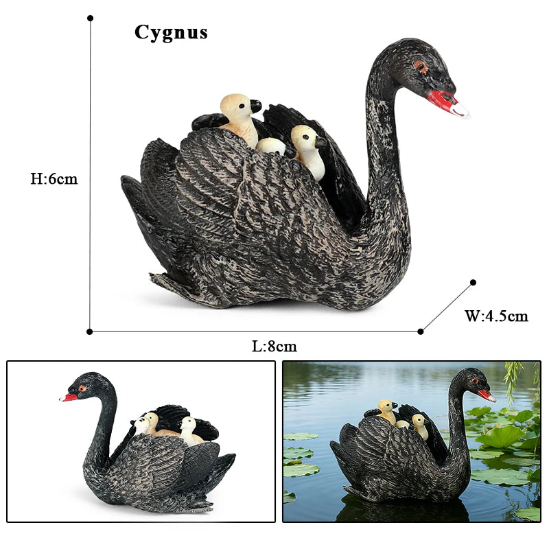 Oenux Poultry Model Simulation Goose Swan Gaggle Duck Flock Action Figures Farm Animals Figurine Miniature Education Kids Toy
