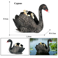 animals model 1