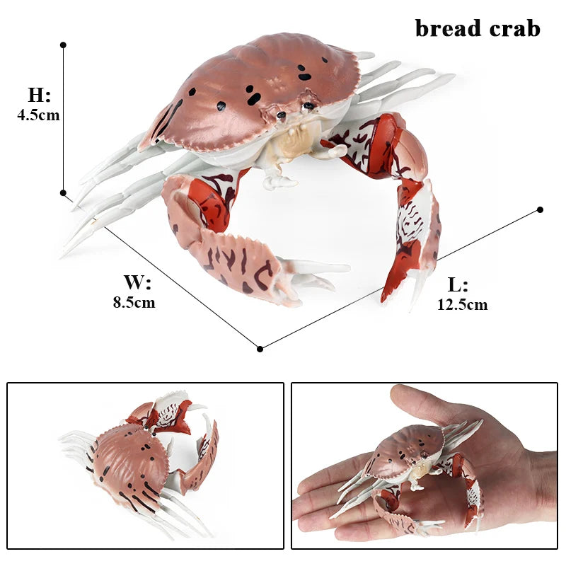 Oenux Simulation Ocean Sea Life Animals Model Lovely Crab Action Figures Toy Cake Toppers Collection Jouet Kids Education Gift