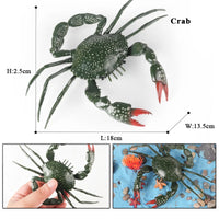 animal model 1