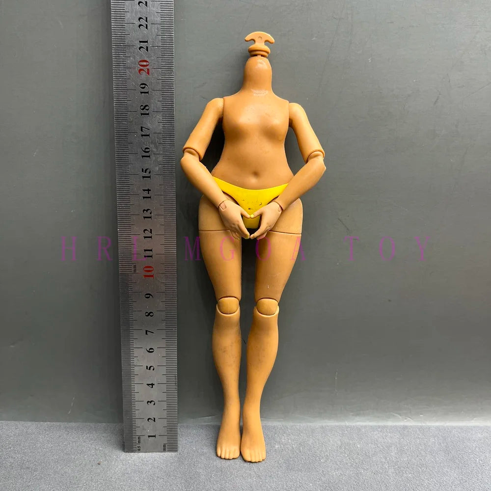 Original Slim Rainbow Middle School Doll Series 24cm Junior High School Sister and 28cm Big Sister Body DIY Toys