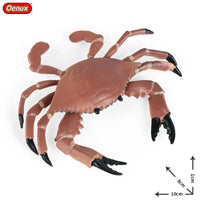 ocean toy 14