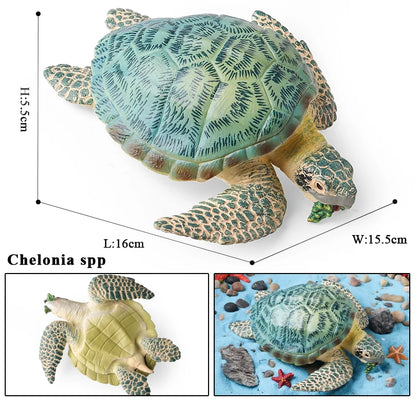 Oenux Ocean Animals  Leatherback Tortoise Turtle Growth Cycle Sea Life Model Figurines Action Figures PVC Education Kid Toy Gift