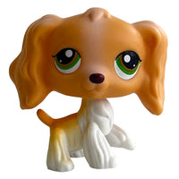 Spaniel 79