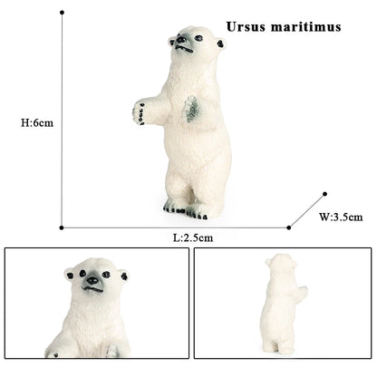 Oenux Arctic South Pole Animals Simulation Penguins Polar Bear Wolf Beluga Whale Action Figures Model Figurine PVC Kid Toy Gift