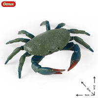 ocean toy 2