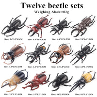 12pcs 3