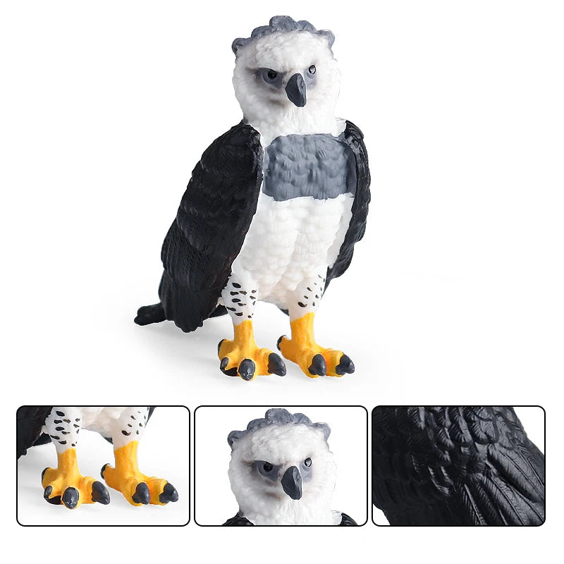 Oenux Wild Bird Animals Forest Night Eagle Condor Figurines PVC Action Figure Garden Decoration Education Miniature Toy Kid Gift