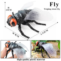 insect model 1