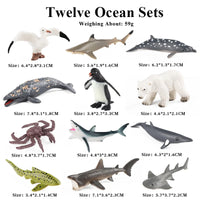 12pcs 12