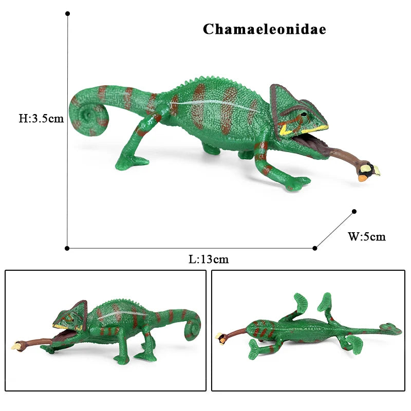 Oenux New Simulation Wild Reptile Animals Action Figures Lizard Model Figurines Kids Education Congnitive Scene Decoration Toy