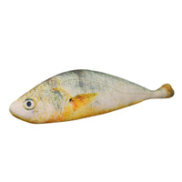 Yellow fish