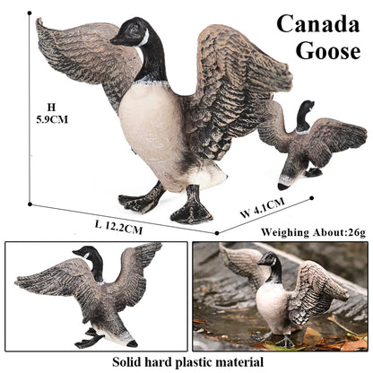Oenux Poultry Model Simulation Goose Swan Gaggle Duck Flock Action Figures Farm Animals Figurine Miniature Education Kids Toy