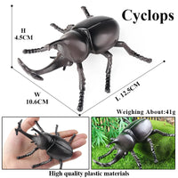 insect model 19
