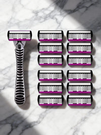 1 holder 12 blades
