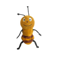 Ant