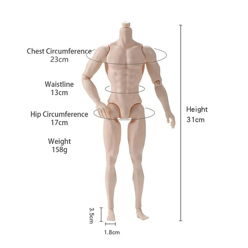 1/6 Male Doll 35cm Height Man Supermodel Dolls White/Normal/Tan Skin Strong Man Bodybuilding Body Doll Toy Birthday Gift