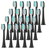 BLACK  20pc