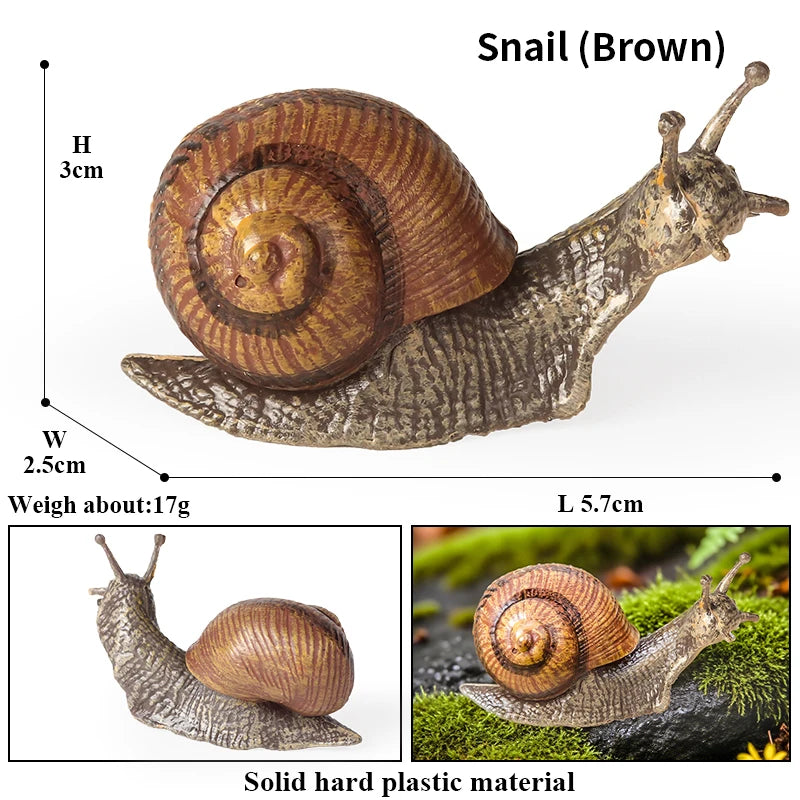 Oenux Wild Insect Animals Snails Growth Cycle Model Garden Decoration Figurines PVC Miniature Cute Education Kids Toys