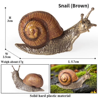 Oenux Wild Insect Animals Snails Growth Cycle Model Garden Decoration Figurines PVC Miniature Cute Education Kids Toys