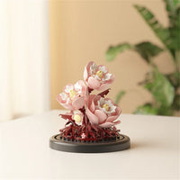 Without Dust Cover 6