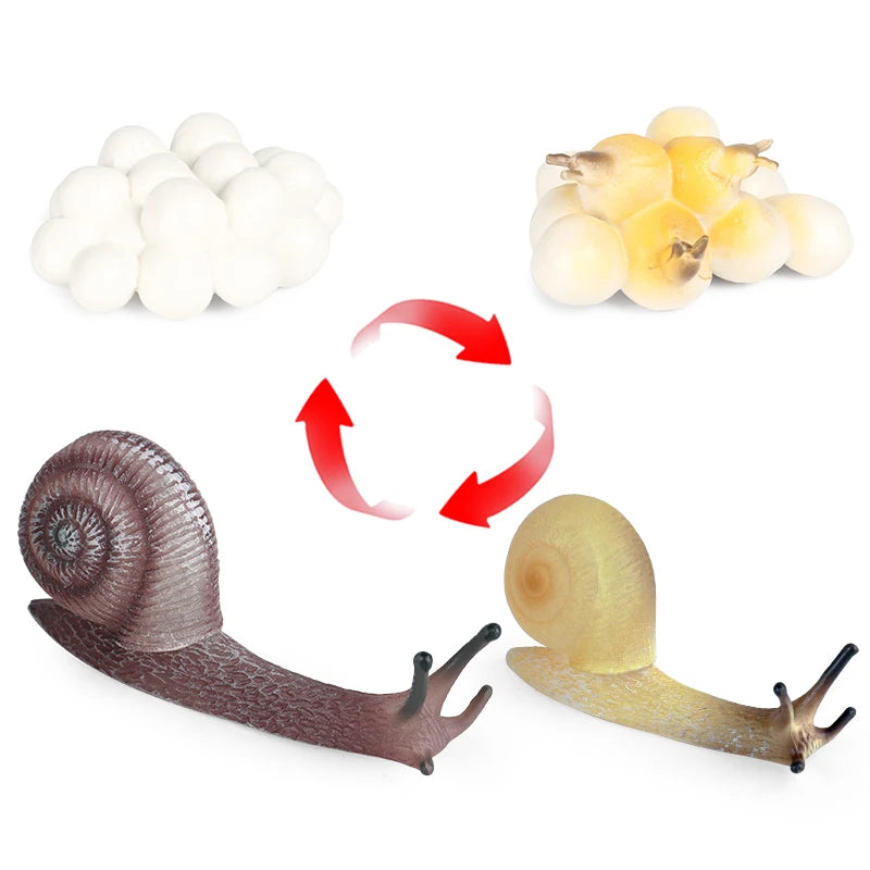 Oenux Wild Insect Animals Snails Growth Cycle Model Garden Decoration Figurines PVC Miniature Cute Education Kids Toys