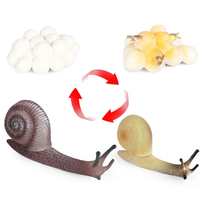 Oenux Wild Insect Animals Snails Growth Cycle Model Garden Decoration Figurines PVC Miniature Cute Education Kids Toys