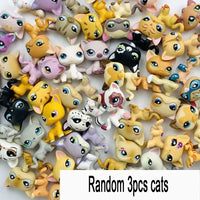 3 random cats