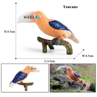 bird 7