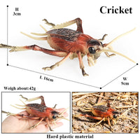 insect model 16