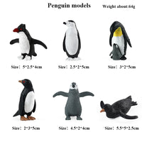 6pcs 1