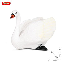 animals model 9