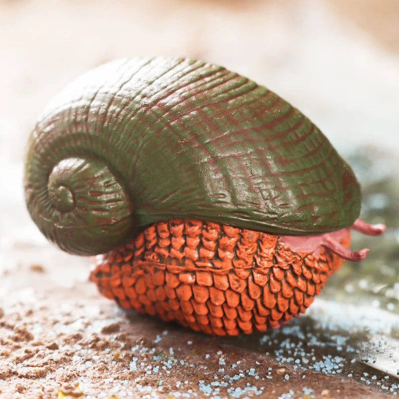 Oenux Wild Insect Animals Snails Growth Cycle Model Garden Decoration Figurines PVC Miniature Cute Education Kids Toys
